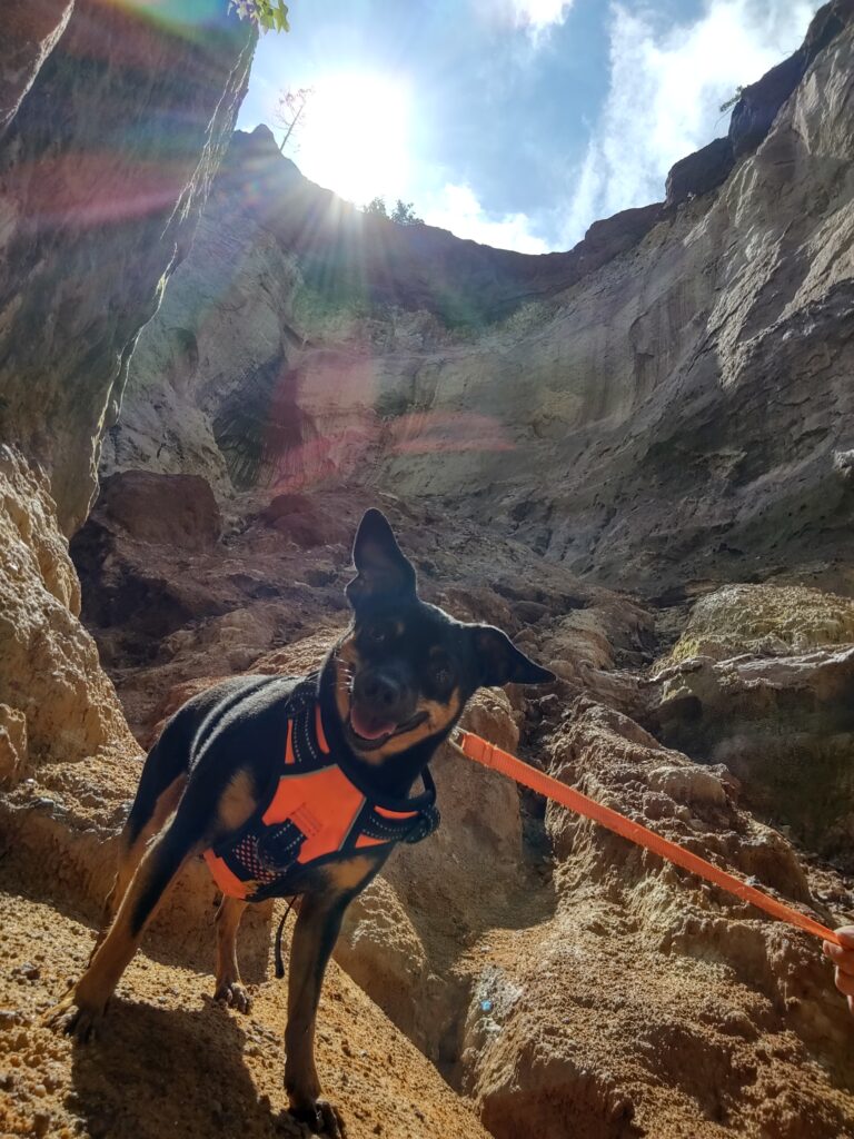 img 20210529 110326697 hdr