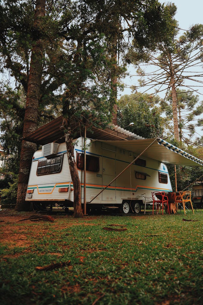 Vintage campervan parked amidst towering trees, offering a serene and rustic outdoor experience.